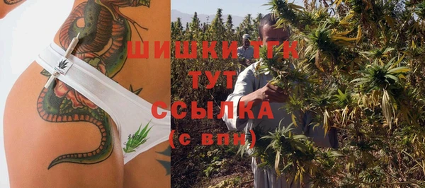 spice Вязьма