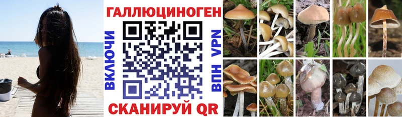 Купить закладки  Лахденпохья  Галлюциногенные грибы GOLDEN TEACHER 