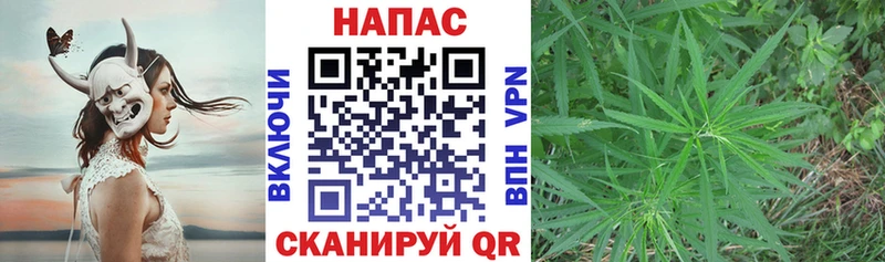 Купить закладки  Лахденпохья  Канабис SATIVA & INDICA 